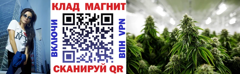 Наркотические вещества Мурино Псилоцибиновые грибы МАРИХУАНА Амфетамин