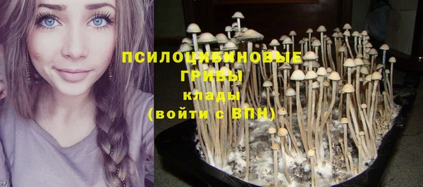 соль ск Аркадак