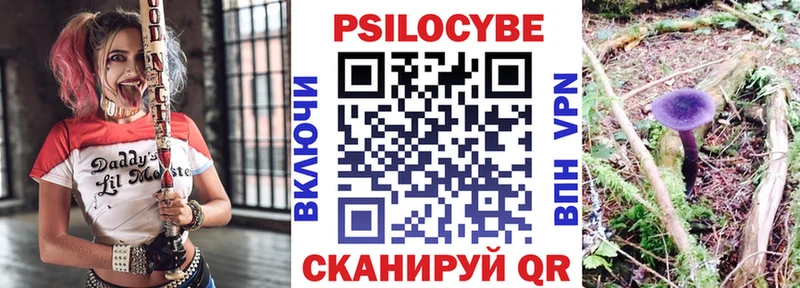 Галлюциногенные грибы ЛСД кракен ссылки Мурино