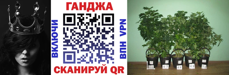 Канабис план  Мурино 